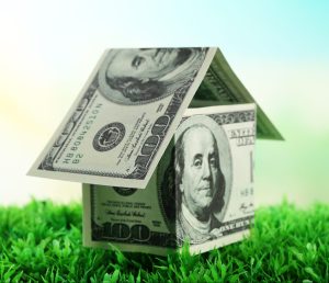 money house on grass